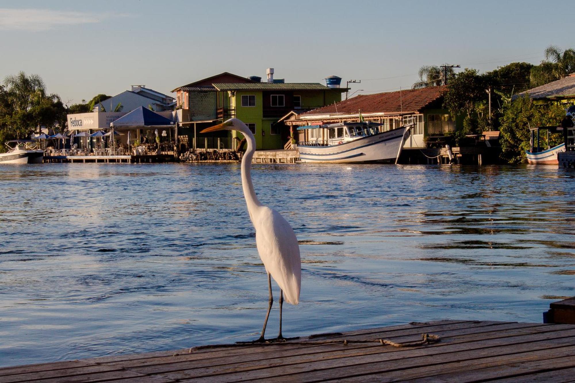 Pousada Quinta Da Margem Florianópolis Esterno foto